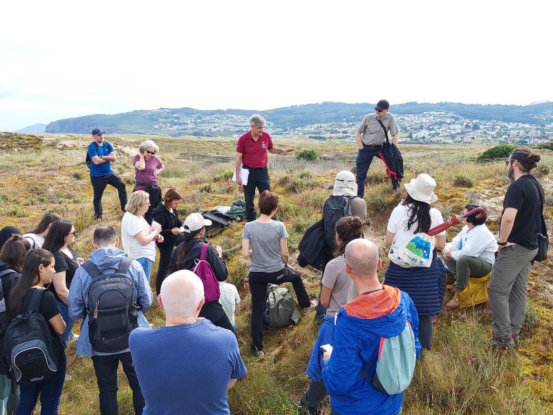 Ambiosol Equipo de trabajo 4