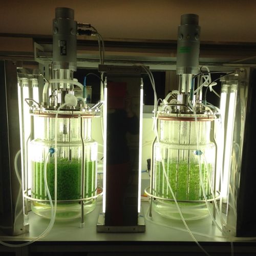 Biomonitorizacion ambiosol