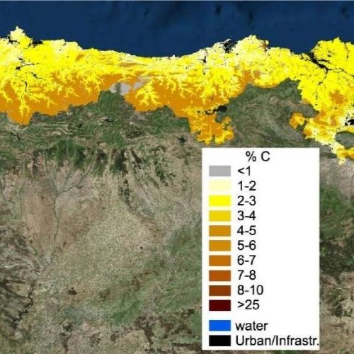 Ciencia del Suelo ambiosol