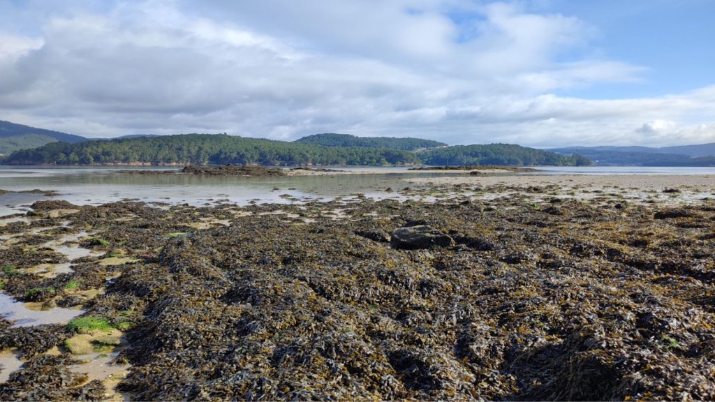 Proyecto CoastProtect