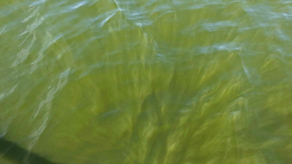 Proyecto EUROSTROP 1