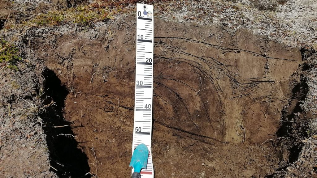 Proyecto GRELARTIC 1