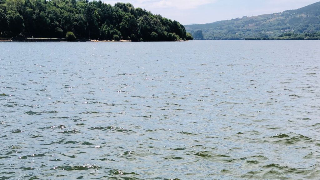 Proyecto RES4VALOR 1