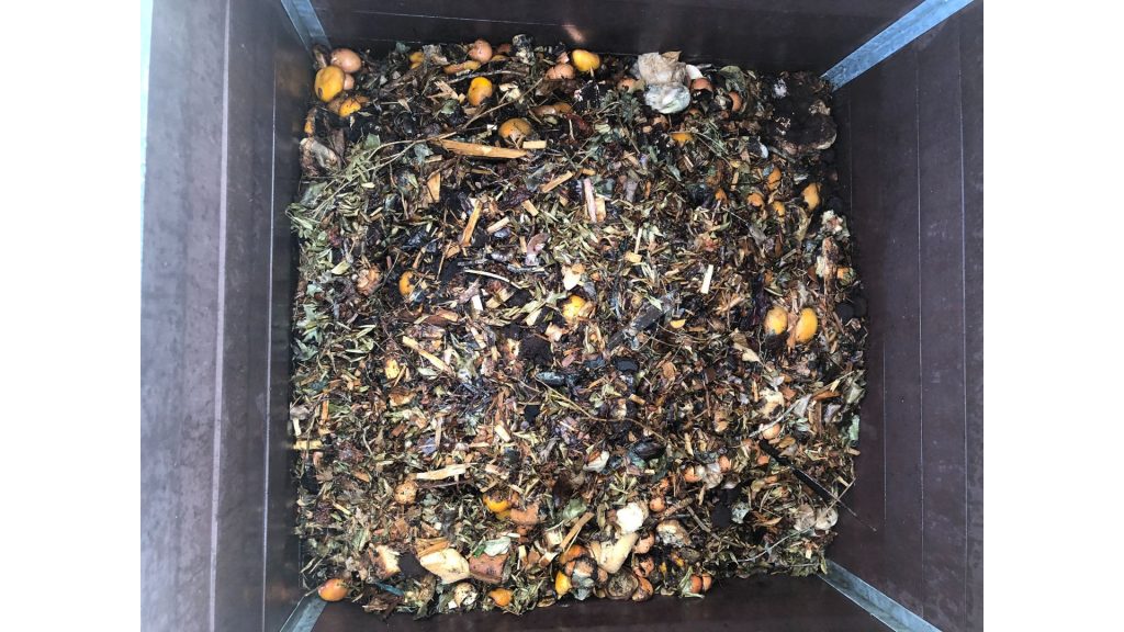 Proyecto RES4VALOR 2